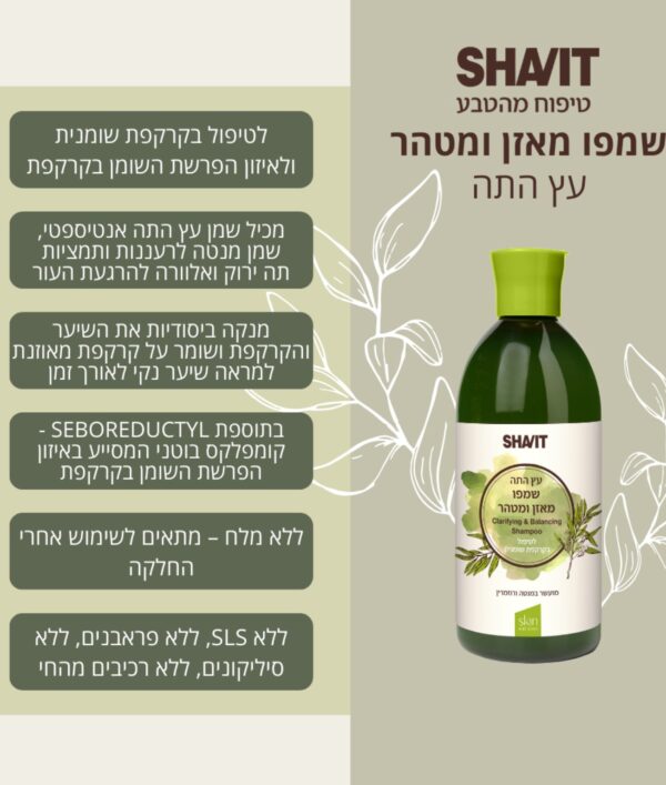 ⁦שביט עץ התה שמפו מאזן ומטהר לטיפול בקרקפת שומנית⁩ – תמונה ⁦4⁩